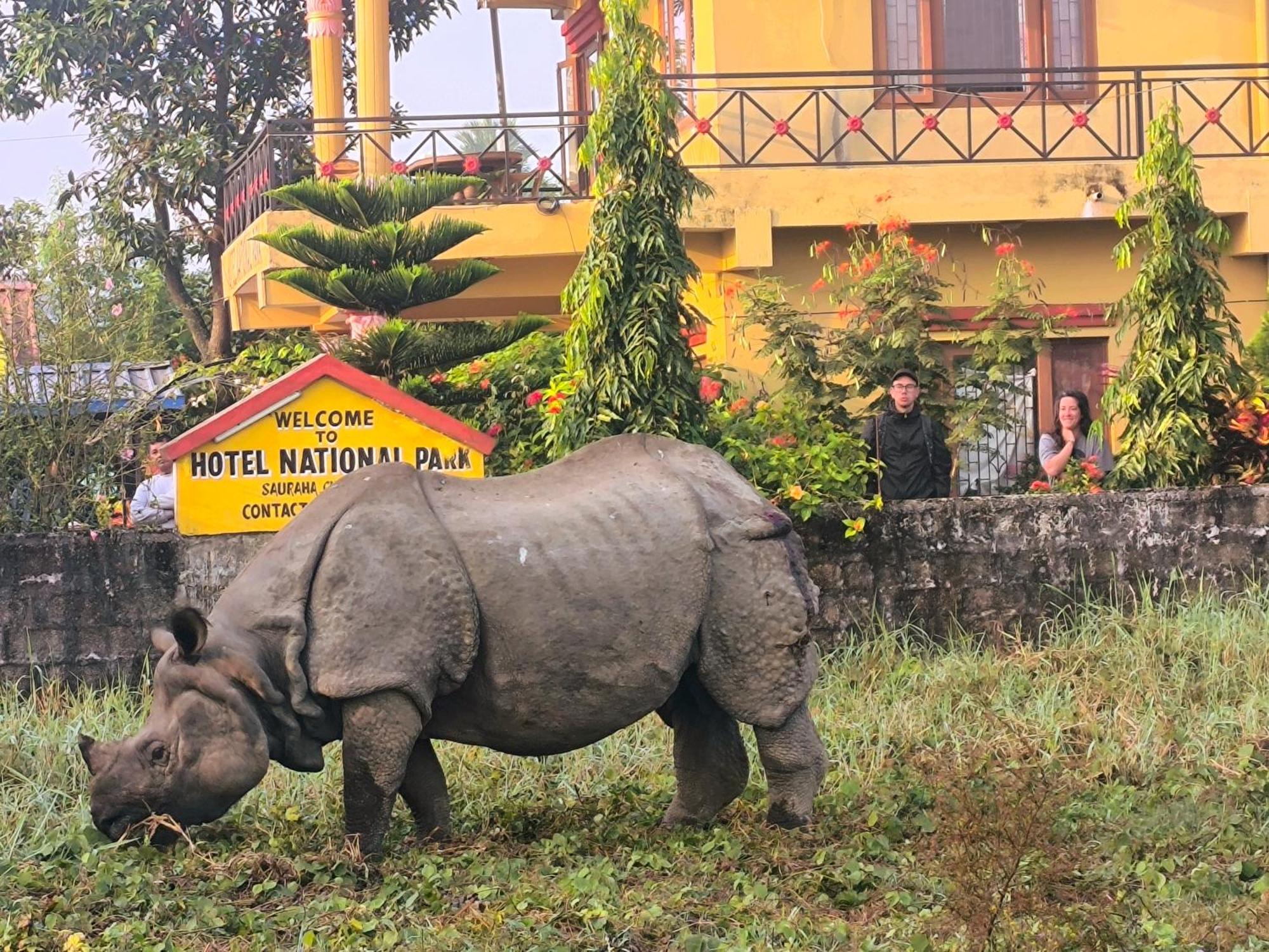 Hotel National Park- A Peaceful Family Home Where You Can Stay Peace And Enjoy And Organize The Wildlife Safari Чітаван Екстер'єр фото